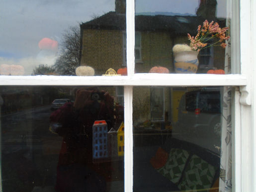 2025 Gwydir St Halloween window